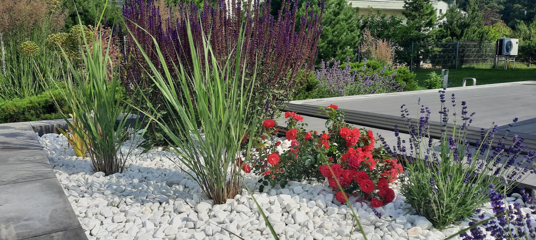 Värskelt rajatud istutusala Tartus