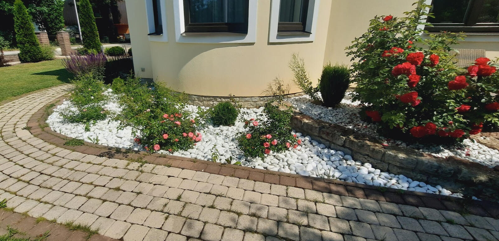 Istutusalala klassikaliste taimedega