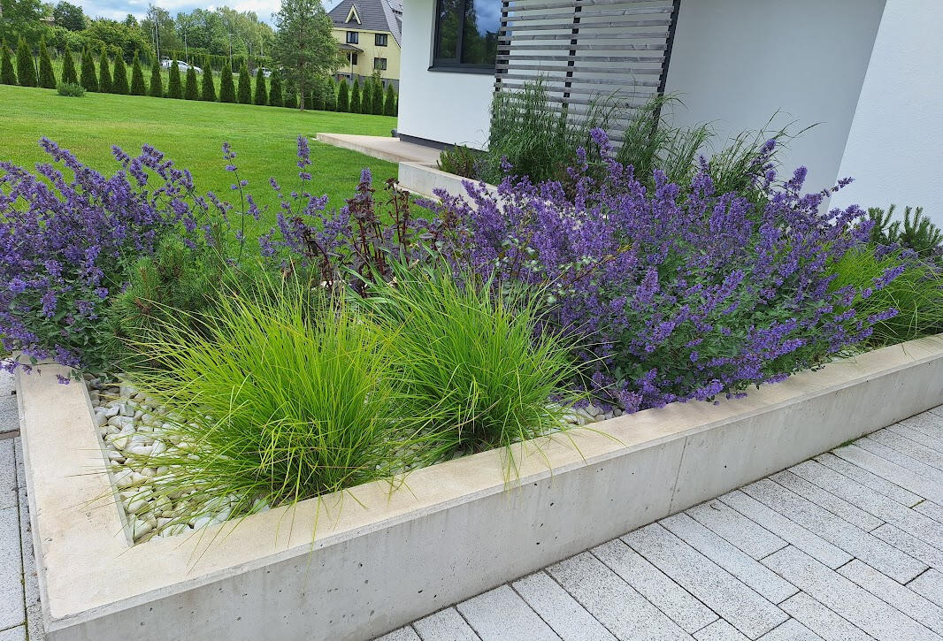 Rajamisjärgne hooldus 2. aastal