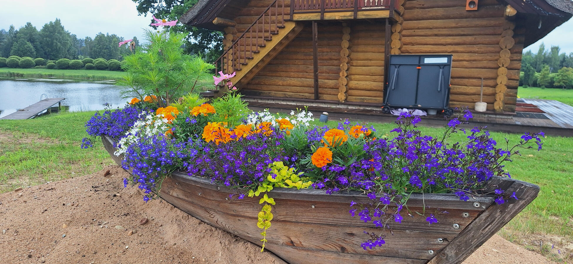 Suvelillede istutus Põlvamaal