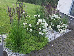 Samal kevadel rajatud peenar