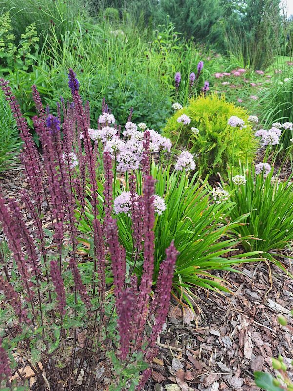 Värskel istutusalal enne servahooldust