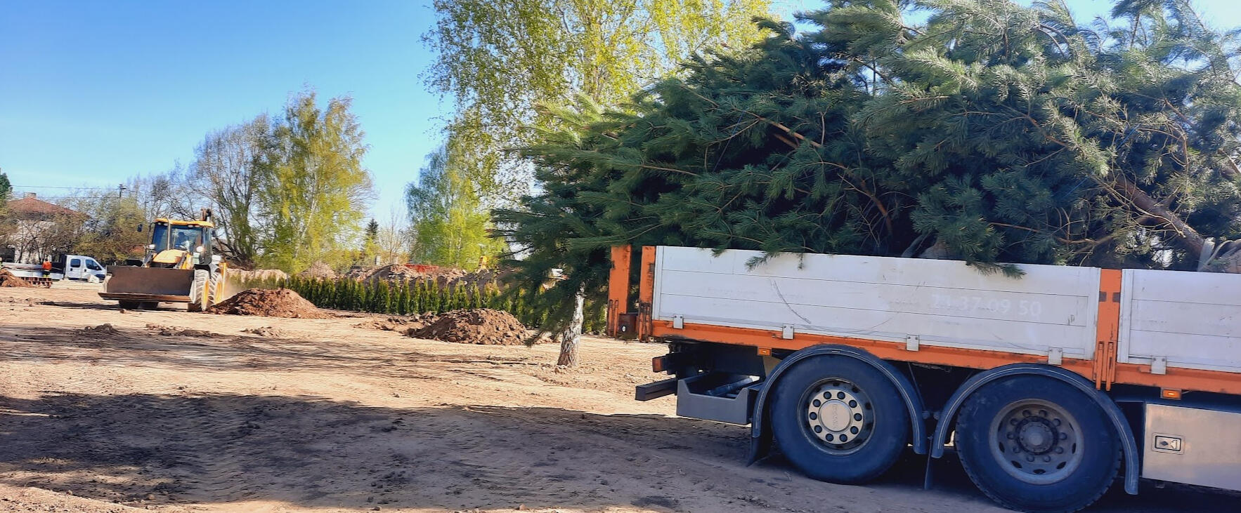 Suurte puude istutus