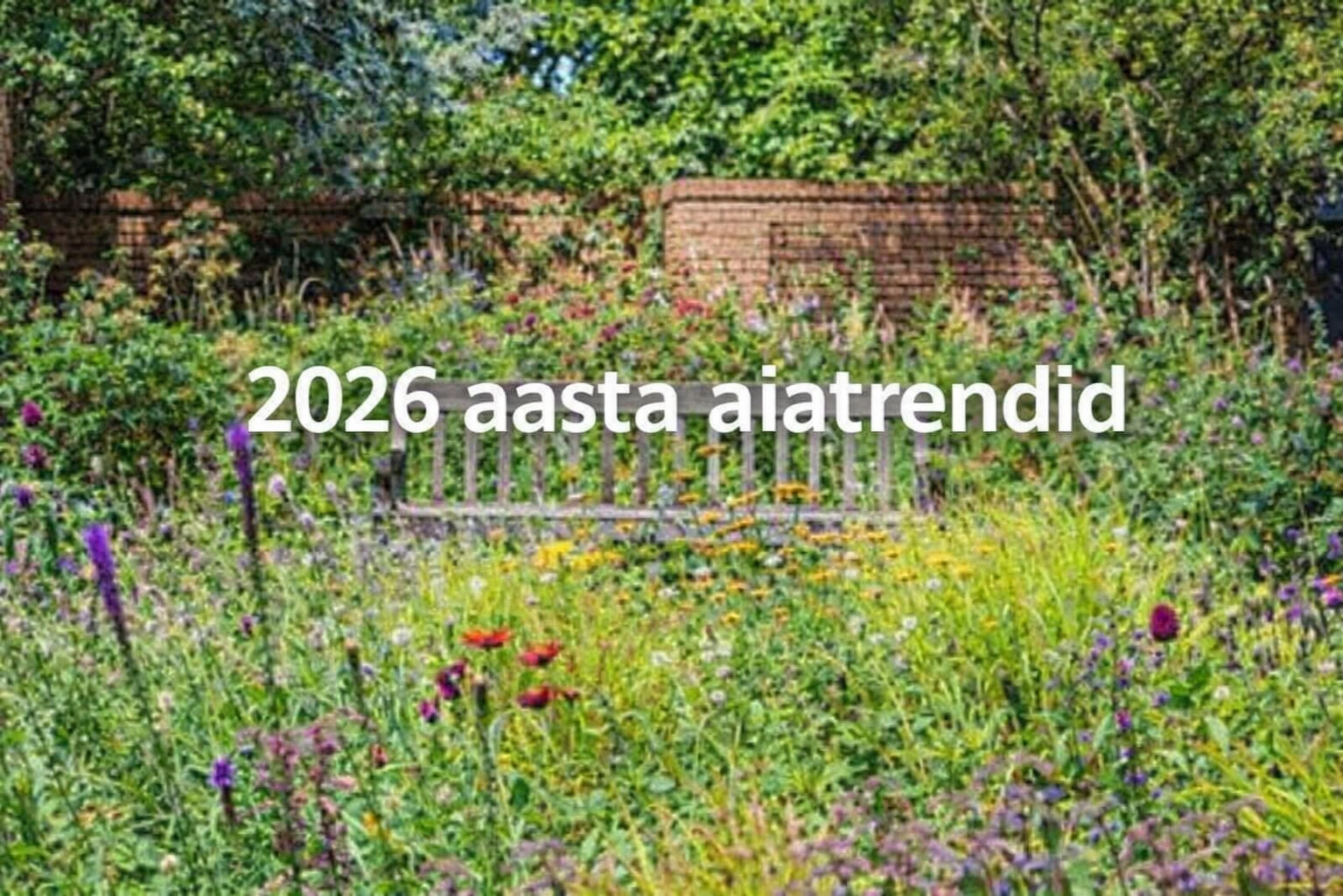 Kuidas sai rätsepmeister Kiir näpud mulda ehk pea ees aednikuks. Rahvaülikooli blogi. Taisi Oss juhendamas. Fotod: erakogu